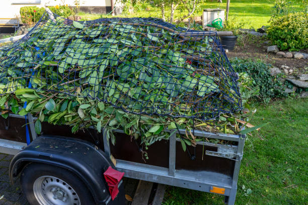 Trusted Trafalgar, IN Junk Removal Services Experts